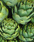 Artichockes