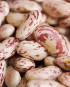 Borlotti