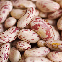 borlotti_ccm_food_legumes