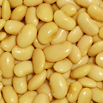 butter_beans_ccm_food_legumes