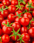 Cherry Tomatoes