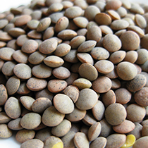 lentils_ccm_food_legumes