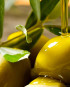 Pure olive oil