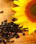 Sunflower seeds oil